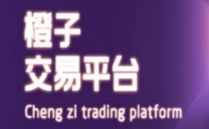 橙子交易所与众多合作方强强联手